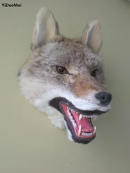 large 32x25cm artificial wolf head model,plastic&furs wall pandent handicraft ,bar ornament home decoration gift a1914