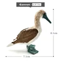 Gannet