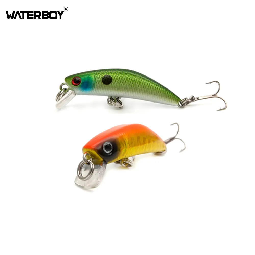 WATERBOY Mini Minnow Fishing Lure 4.2cm 1.7in 2.6g 0.1oz Lifelike Swimming and Color Spraying Artificial Iscas Fishing Bait