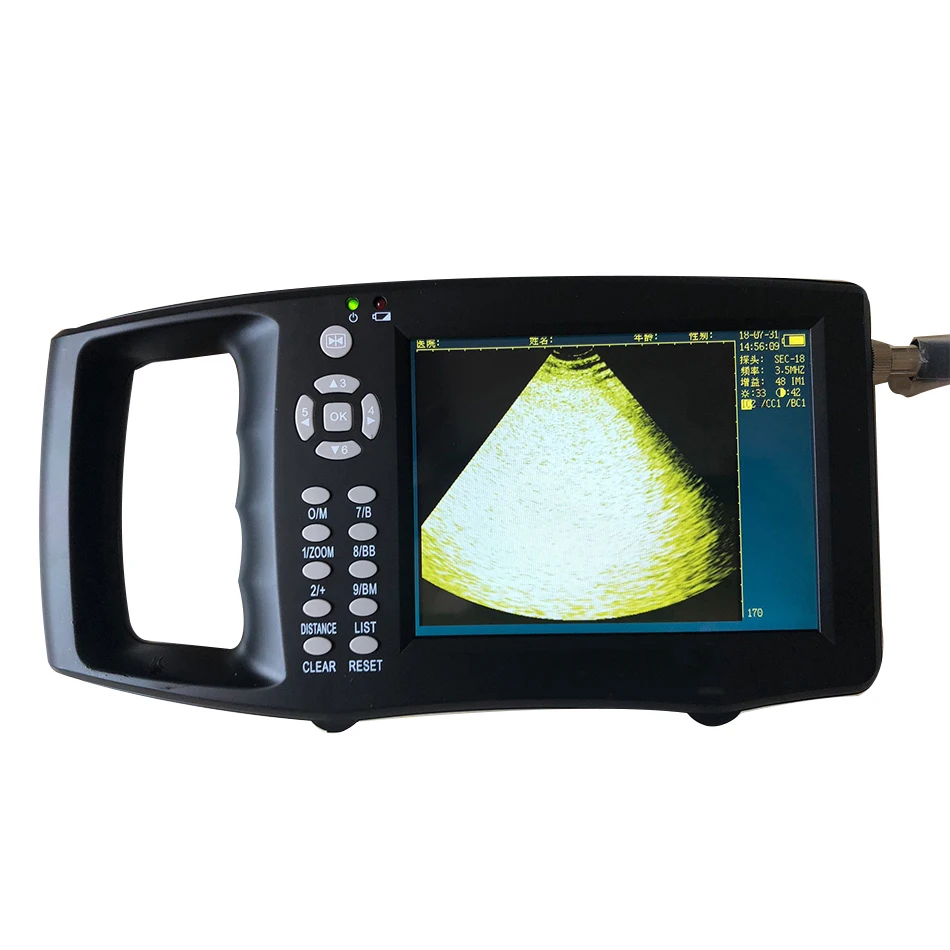 Draagbare Varken Echografie Veterinaire Dier Zwangerschapstest Instrument Kleur B Mode Echografie Ultrasone Detector