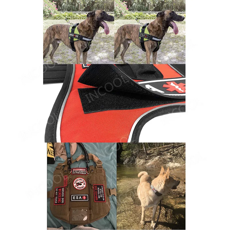 Parche PVC para perro de servicio – insignia goma arnes tactico - imagen 5