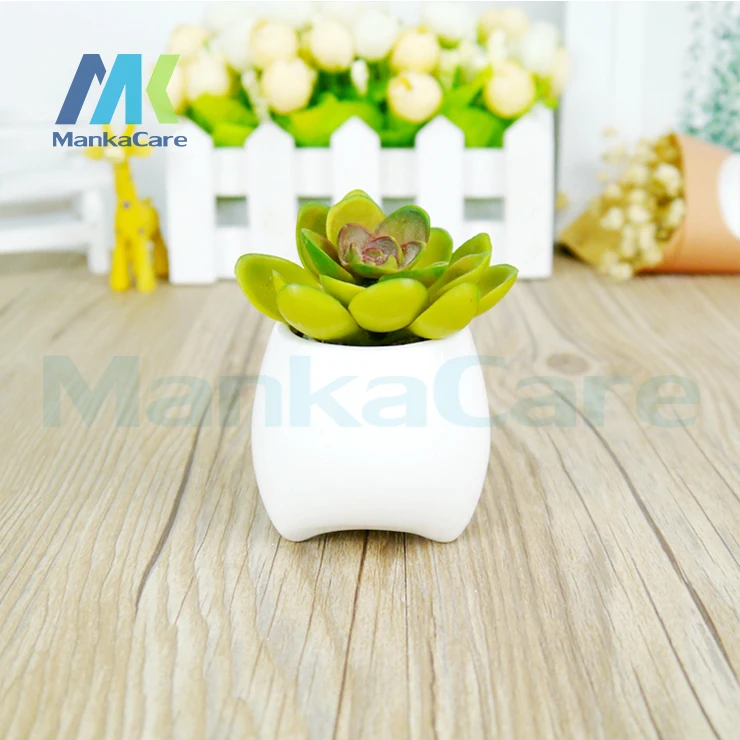 

3 pcs Tooth Shape White Ceramic Flower Pot Modern Design Planter Teeth Model Mini Desktop Pot Creative Gift(without Plants)