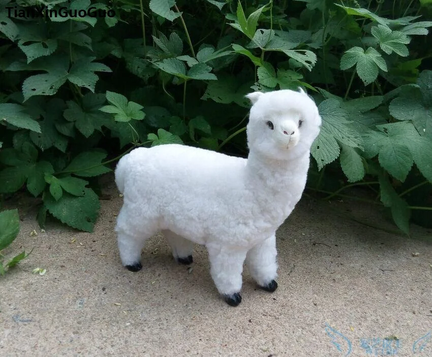 simulation alpaca large 23x24cm hard model polyethylene&furs white sheep alpaca handicraft home decoration gift s0786