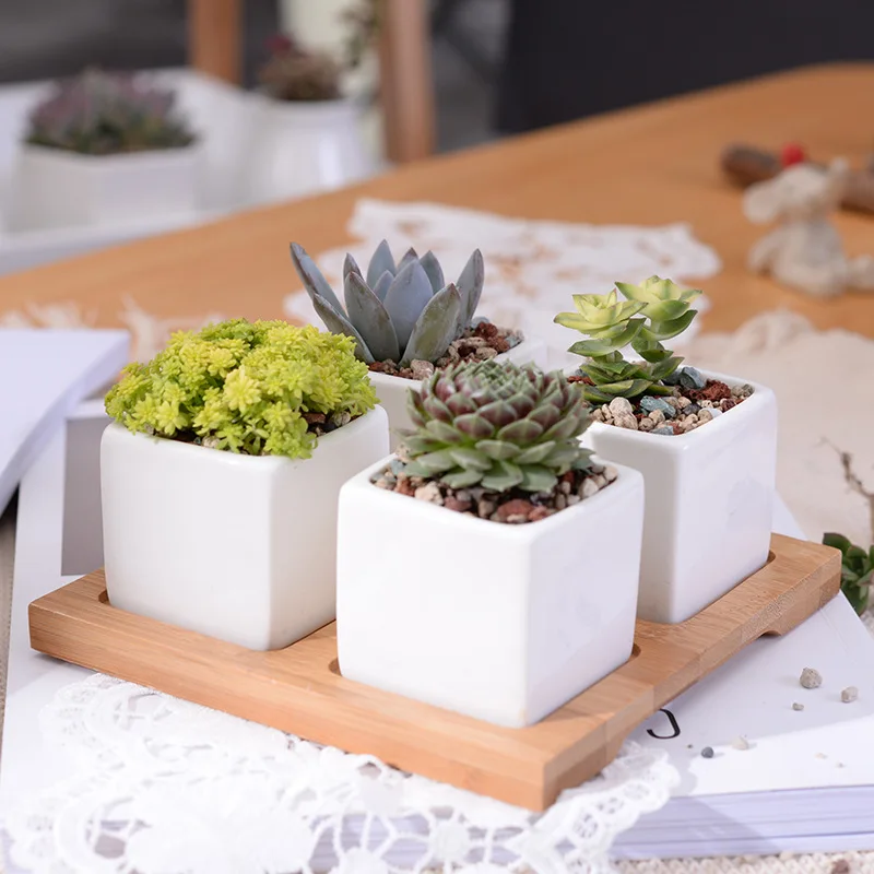 Set of 4 Minimalist Cube Flowerpots White Ceramic Succulent Planter Pot with Bamboo Stand for Cactus Mini Bonsai