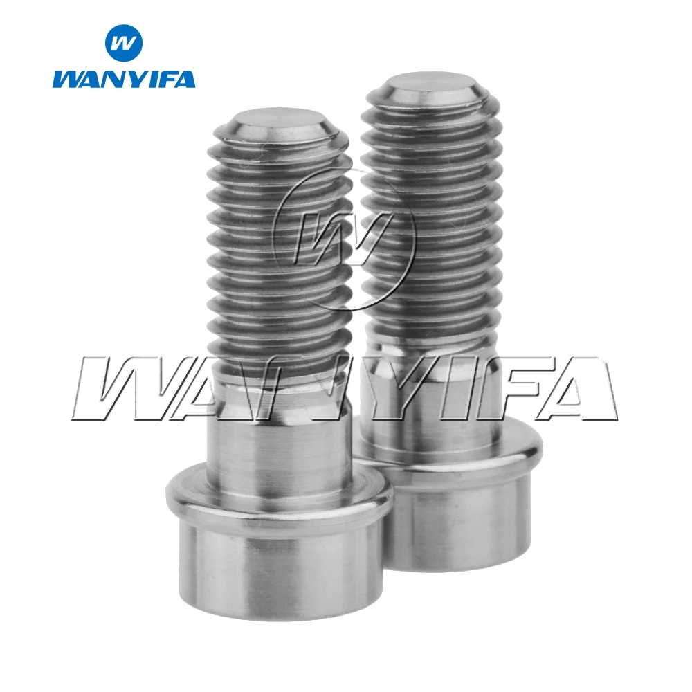 Wanyifa 2pcs Titanium Ti Bolt M10 x 25mm 1.25mm 1.5mm Screws Bolt  Fit for DUCATI Brake Caliper