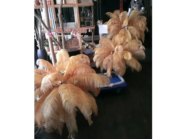 Ostrich feathers Wholesale discount gold ostrich feathers 12-14 inch 100PCS / pieces wedding party dress headdress decoration