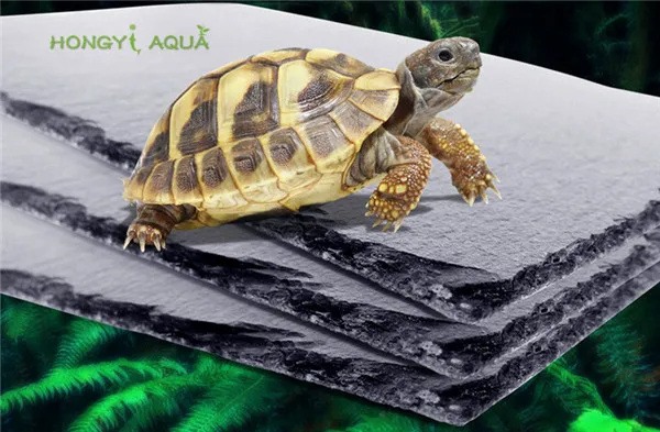 1 piece natural rock turtle stone pad aquarium supplies food basin food plate reptile lizard moisturizing insulation tortoise