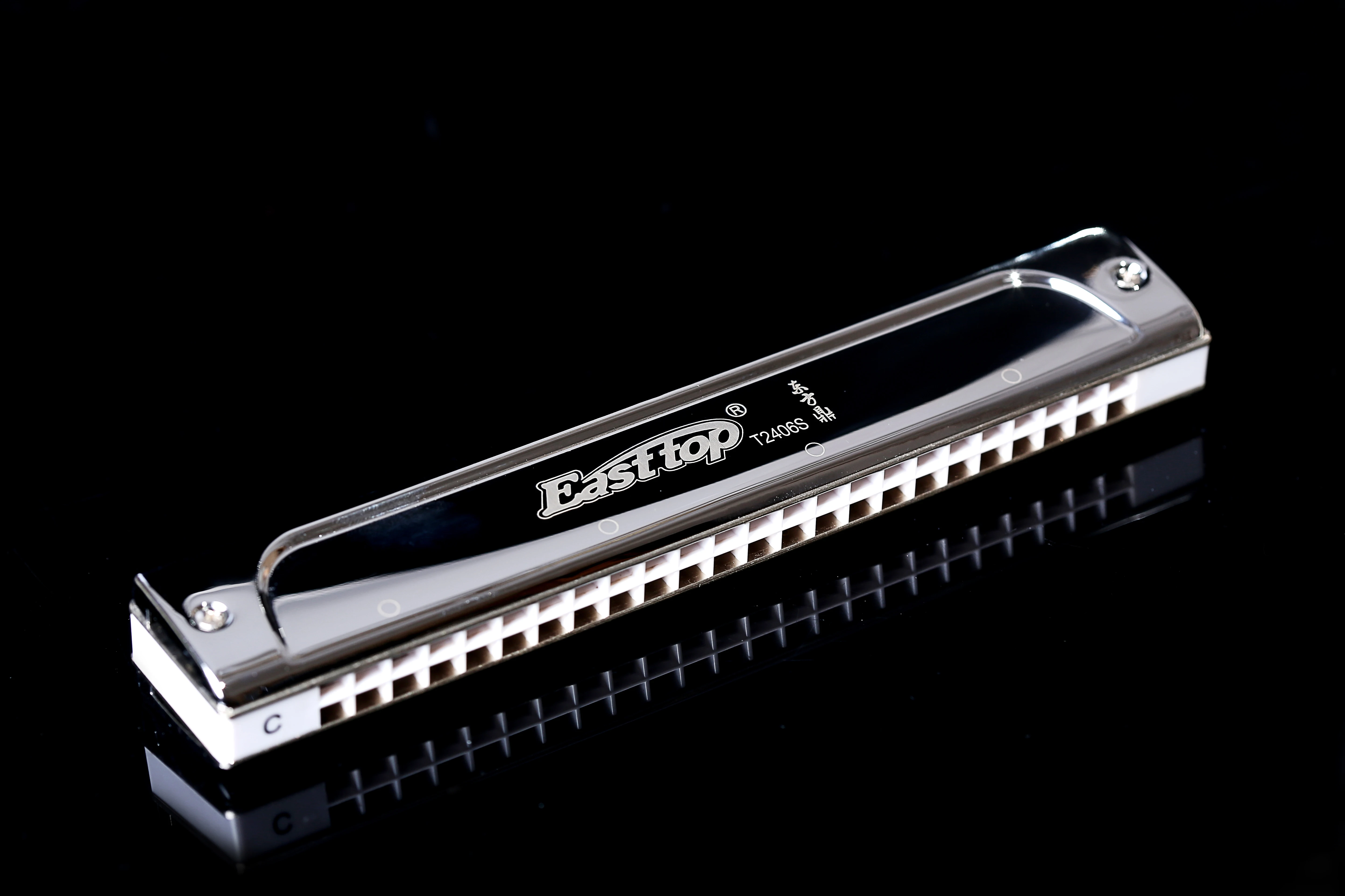 East top 24 hole tremolo harmonica,professional harmonica key of C,for beginner,player,performance