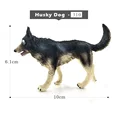 Husky Dog