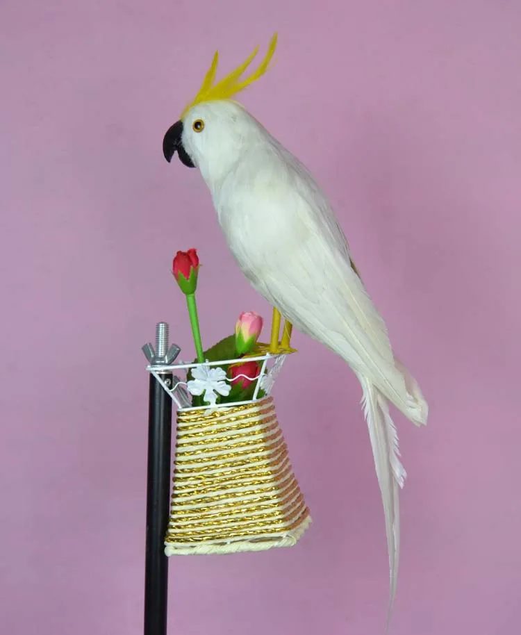 about 40cm white feathers Cockatoo parrot,Handmade model,polyethylene&feathers bird ,prop,home decoration toy gift w3942