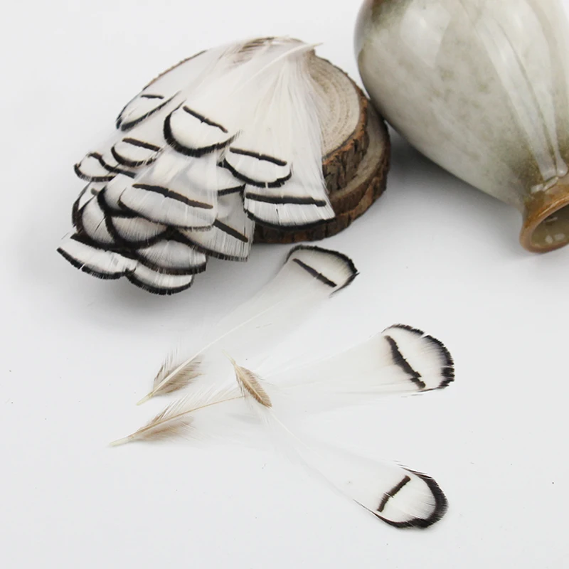 20 / 50 pcs 4-9 cm High quality White  Natural Pheasant  Chicken Feather Plume Diy jewelry Campanula Dance clothing Decorative