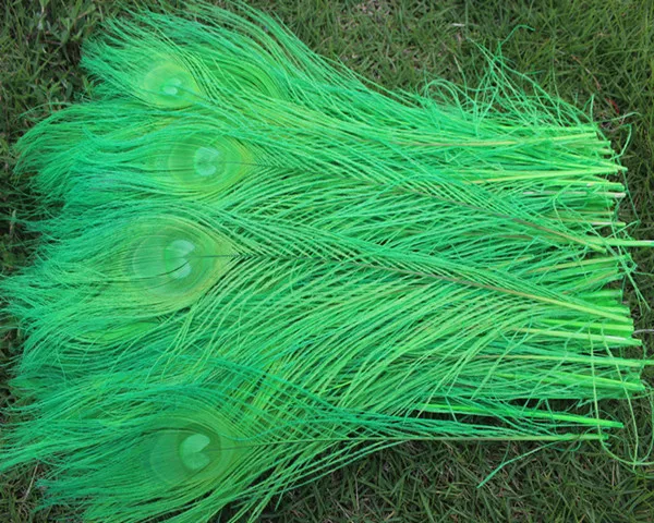 Wholesale 50 PCS beautiful green 25-30 cm/10-12 inches high quantity peacock feathers all sorts of adornment