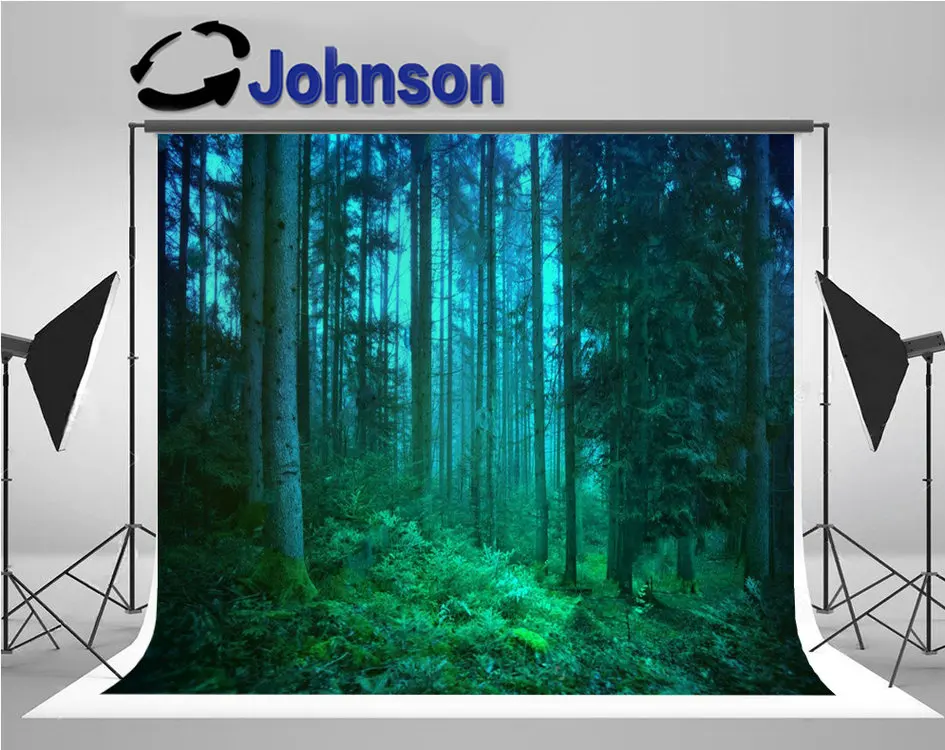 

mystical Mystic Blue And Green Seasonal Fairytale Forest photo backdrop Computer print wall background