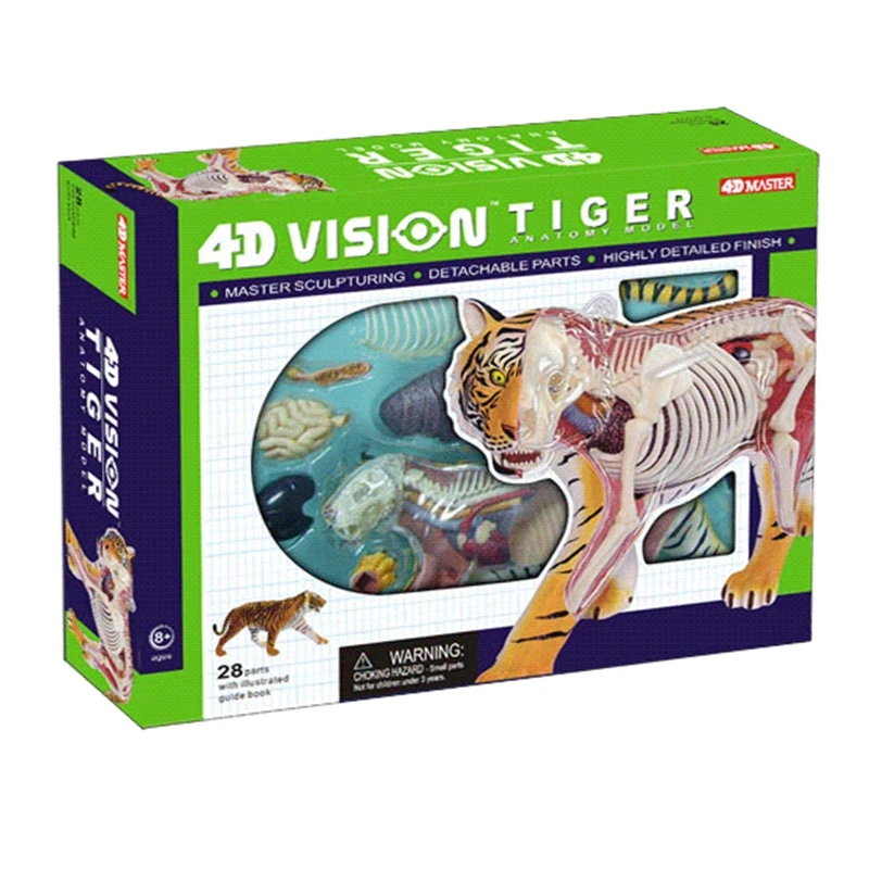 4D Tiger Intelligence Assembling Toy Animal Organ Anatomy Model Medical Teaching DIY Popular Science Appliances