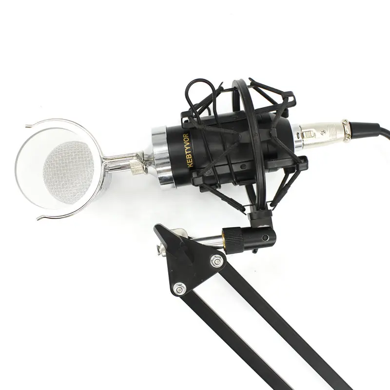 BM-8000 Professional  Studio Recording Condenser Microphone With 3.5mm Plug Stand Holder With Stand Holder