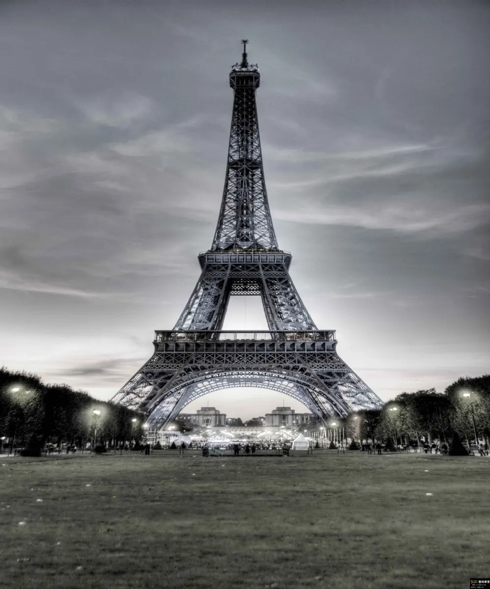 

10x10FT La Tour Eiffel Tower Paris Night Lawn Sky Wedding Photography Studio Backdrops Background Custom Vinyl Combine Shipping