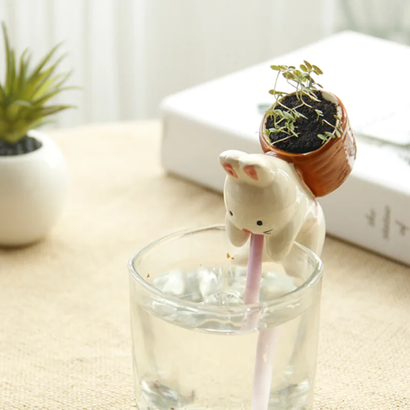 Customized gifts ecoey new automatic water thirsty thirst suck in small desktop mini plant plants flower