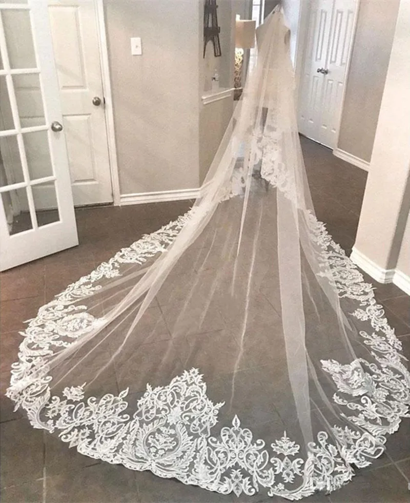 

Elegant 2019 New Wedding Veils 3 Meters Long Cathedral Length Lace Appliqued Real Image Tulle Bridal Veil With Comb