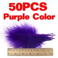 Color Morado 50 Piezas