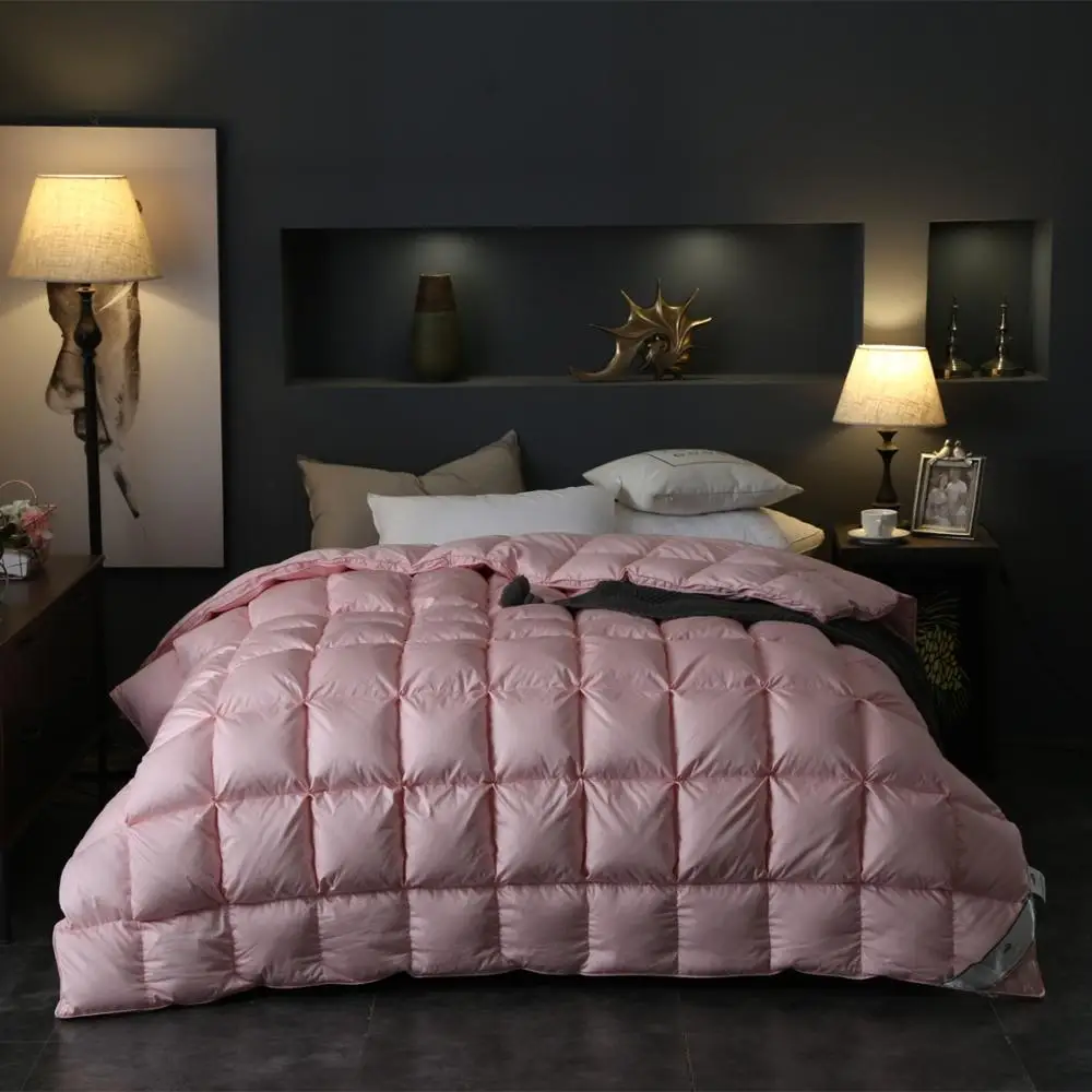 Goose Down Feathers Comforter All Season-Ultra Soft Fluffy 850+ Warm Noiseless Duvet Insert With 800TC Cotton Polyester Cover