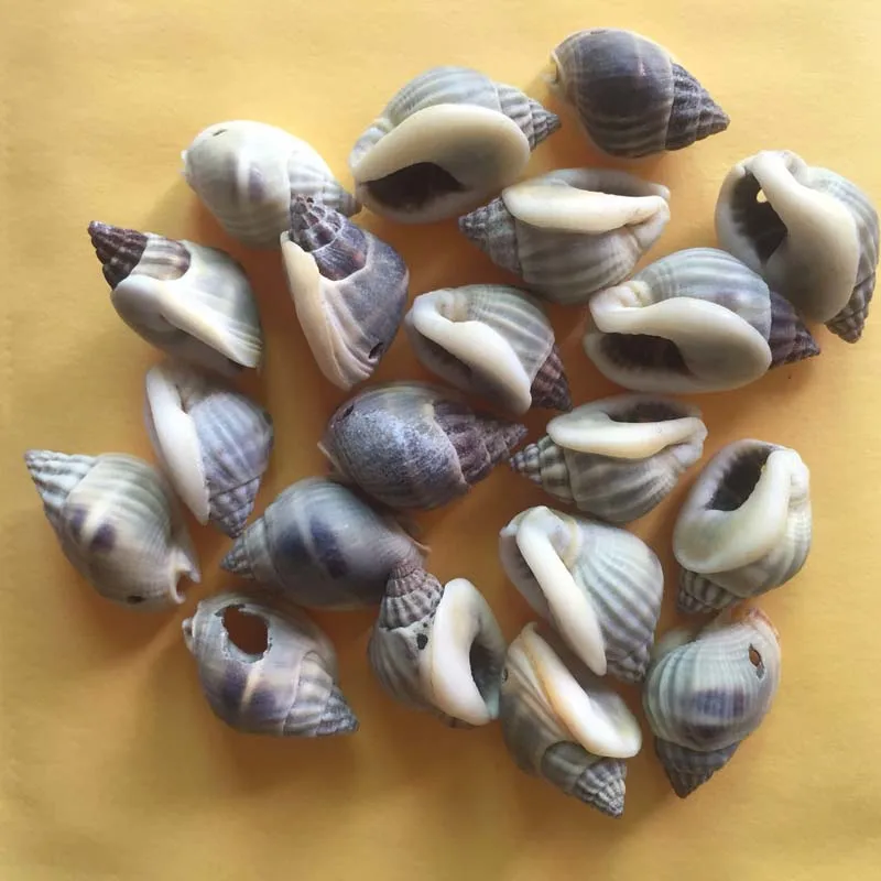 60pcs Mix Different Shape And Size Spiral Shell Beads for DIY Jewelry Making Dyed Cowrie Shells Seashell