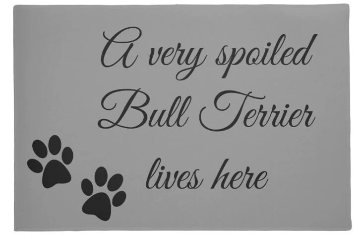 New Funny Bull Terrier Dog Welcome Door Mat Novelty A Very Spoiled Bull Terrier Lives Here Dogs Puppy Paw Doormat Floor Entrance