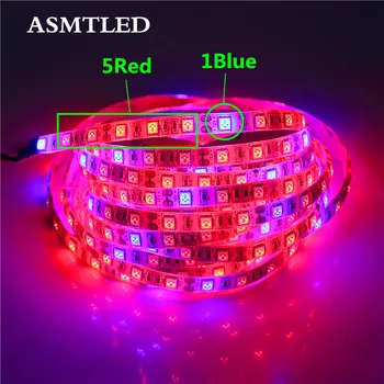 5050 LED Plant Grow Lights 50cm 1m 2m 3m 4m 5M Waterproof DC12V Red Blue 3:1, 4:1, 5:1,for Greenhouse Hydroponic Plant Growing