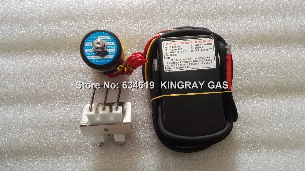 220-240V Gas Ignition Control Unit With Sparking Ignitor&Solenoid Valve, Pulse Black Box Auto Gas Lighter Module For Oven