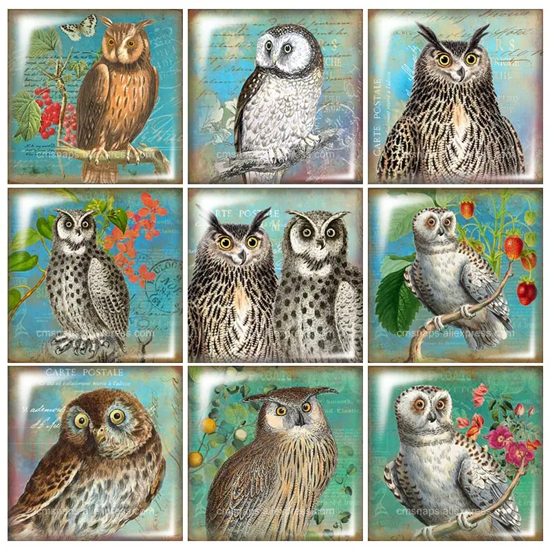 

Beauty Vintage Owl Square glass cabochon 10pcs mixed 12mm/20mm/25mm/30mm Size flat back DIY Jewelry Findings Components