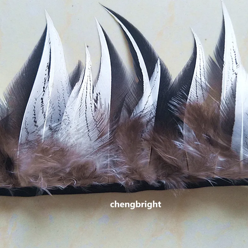 wholesale 10m high quality natural Pheasant feathers Ribbon 5-6inch/12-15cm Width Clothing accessories diy Carnival decoration