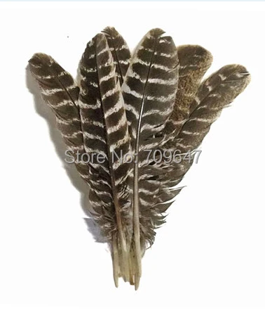 Wild Turkey Feathers,100Pieces-NATURAL BARRED Wild Turkey Wing Round Quill Feathers,Turkey Square Quills,Feathers Decoration