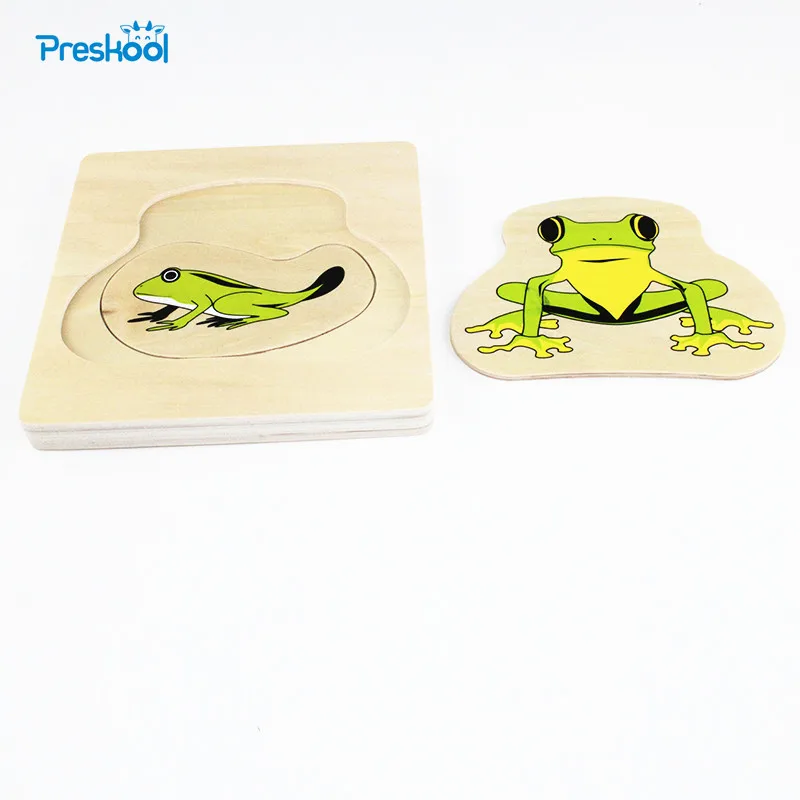 

Montessori Kids Baby Toy Infant Toddler Life Cycle of Frog Puzzles Jingsaw Preschool Brinquedos Juguets