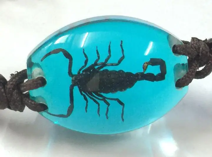 

10 Bracelet Collection Bug Bracelet with REAL Scorpion In Wathet Blue Resin TAXIDERMY GIFT