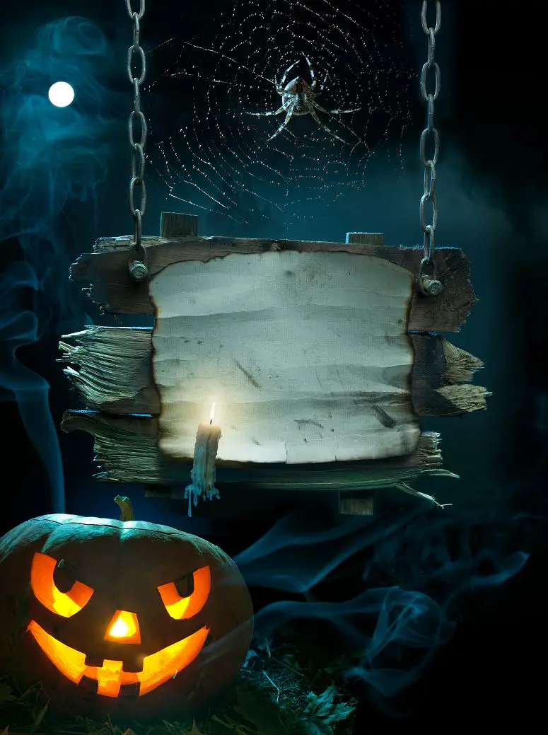 VinylBDS  Halloween  Backdrops For Photography Pumpkin Spider Candle Halloween Washable Iron Chain Backdrop Backgrounds WSJ-061