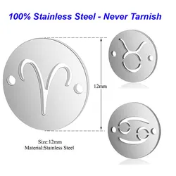 10pcs/Lot 316 Stainless Steel Disc Zodiac Symbol Connector Charms VNISTAR High Polished Horoscope Charms for Bracelets