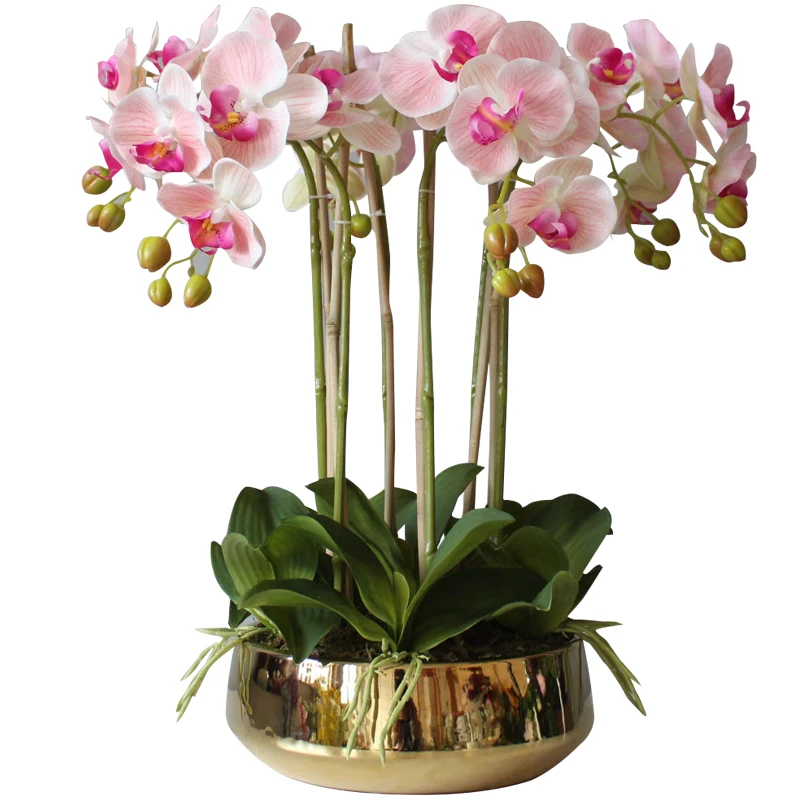 3D printed artificial orchid, flower arrangement, hand feel, butterfly, without vase