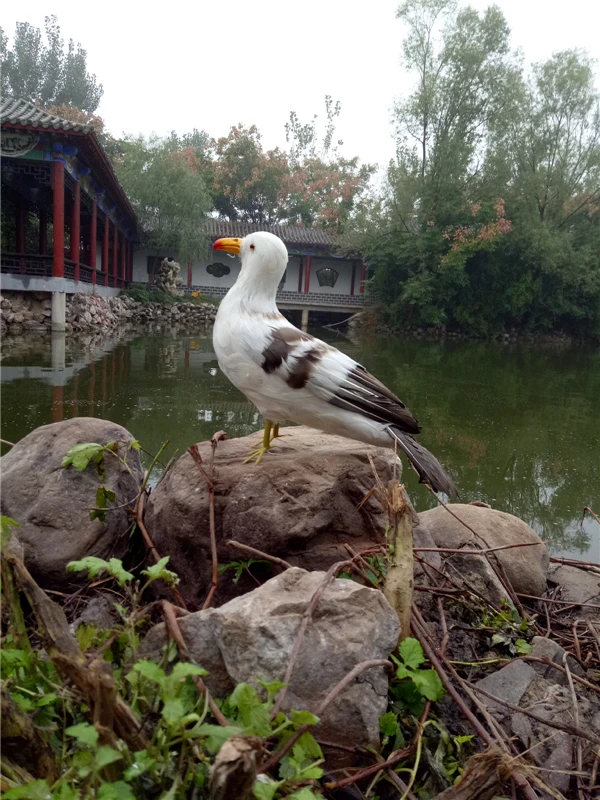 real life Bird large 32x20cm feathers seagull model home garden decoration prop toy gift h2658