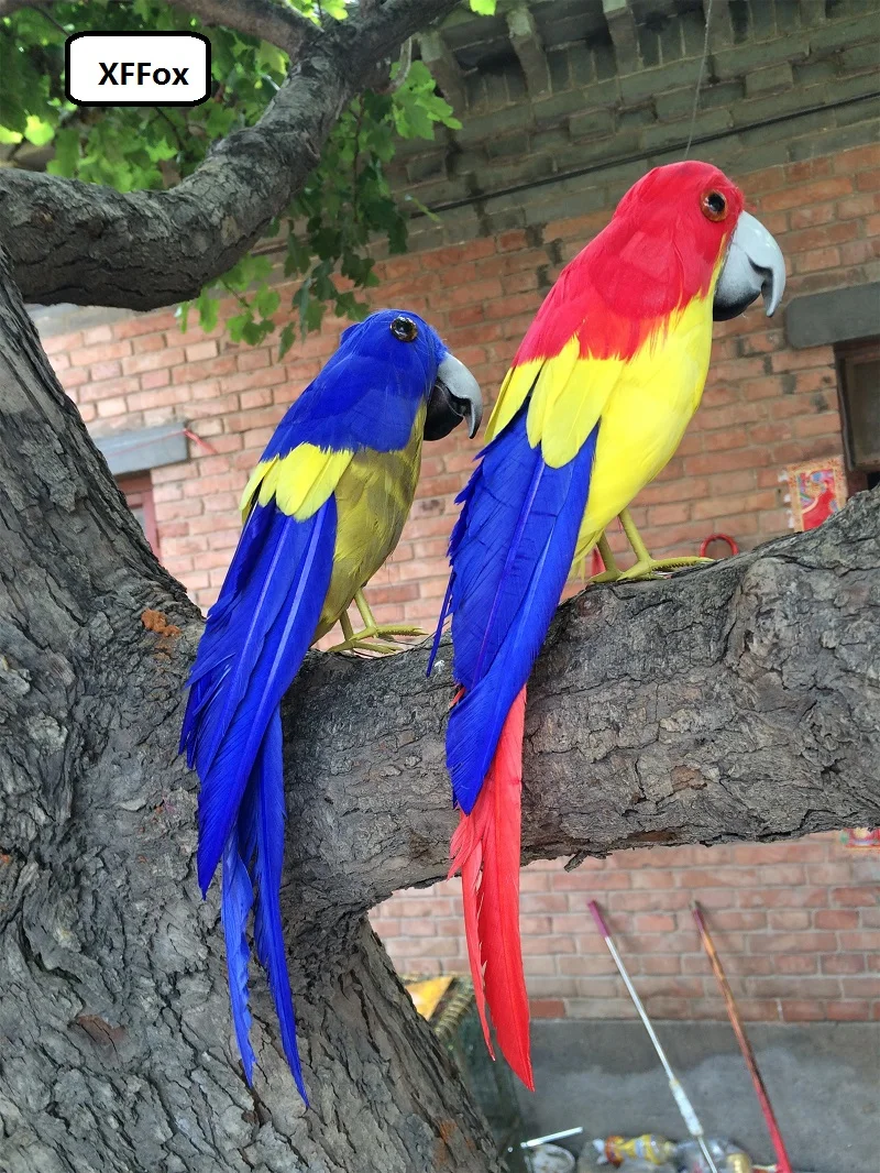 a pair of simulation blue&red parrot models foam&feather real life bird dolls gift about 30cm xf1158