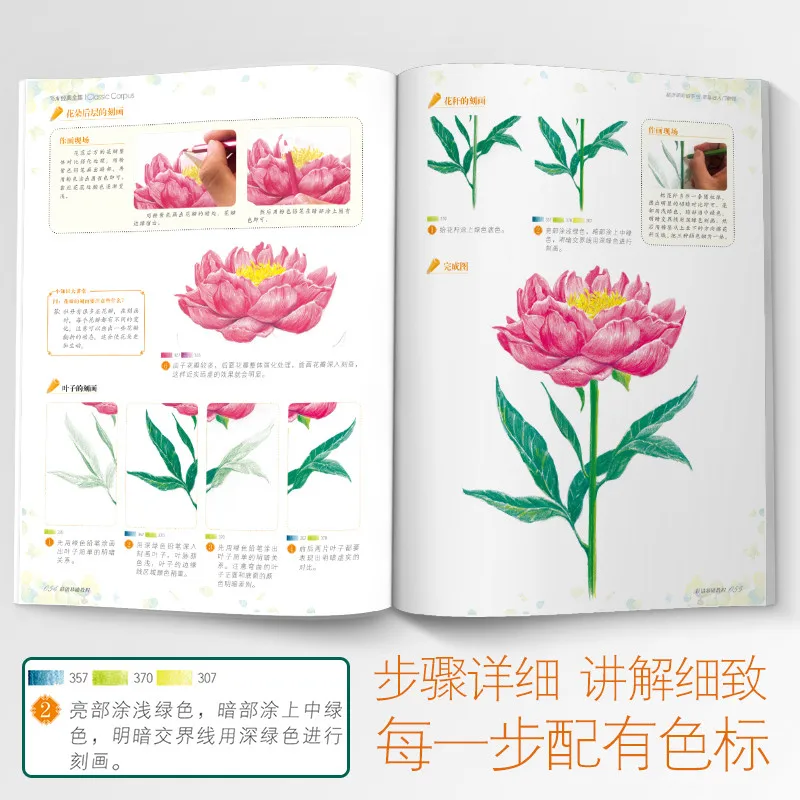 Neuankömmling Buntstift Zeichnung Tutorial Kunstbuch Landschaft/Tier Sukkulenten/Blumen/Foo Basic Tutorial Bild Album