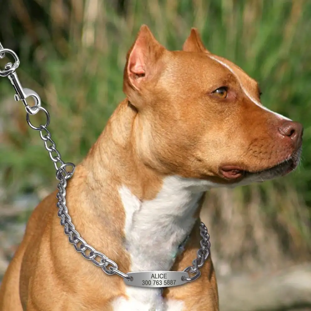 Personalisierte Haustier-Hundekette, Choke-Halsband, Haustier-Training, gravierte ID-Slip-Halsbänder, Halsband für mittelgroße und große Hunde, Pitbull, Mops, Bulldogge – Detail 13