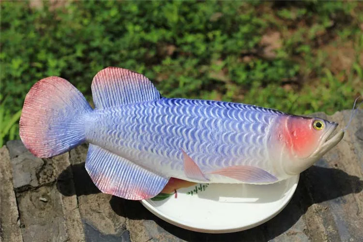 

Arowana fish Simulation PU fake seafood model baby kid food toys model kitchen decoration props teaching materials teaching aids