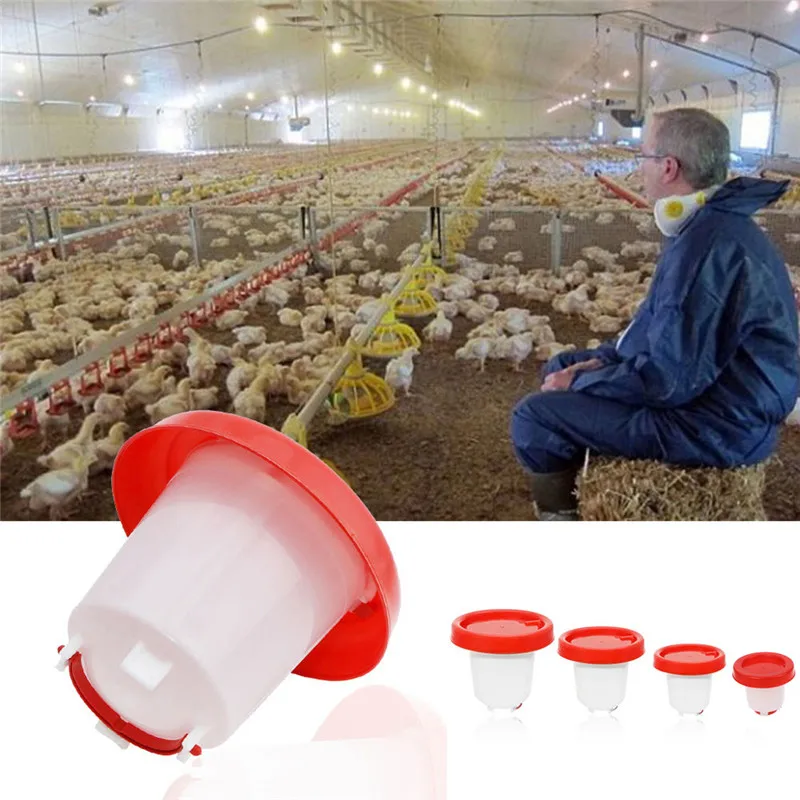 1.5L 2.5L 4L Chook Gà Ăn Uống Gia Cầm Aviary Ăn Tự Động Waterer Người Uống Trang Trại Nhà Gà Uống Dụng Cụ C42