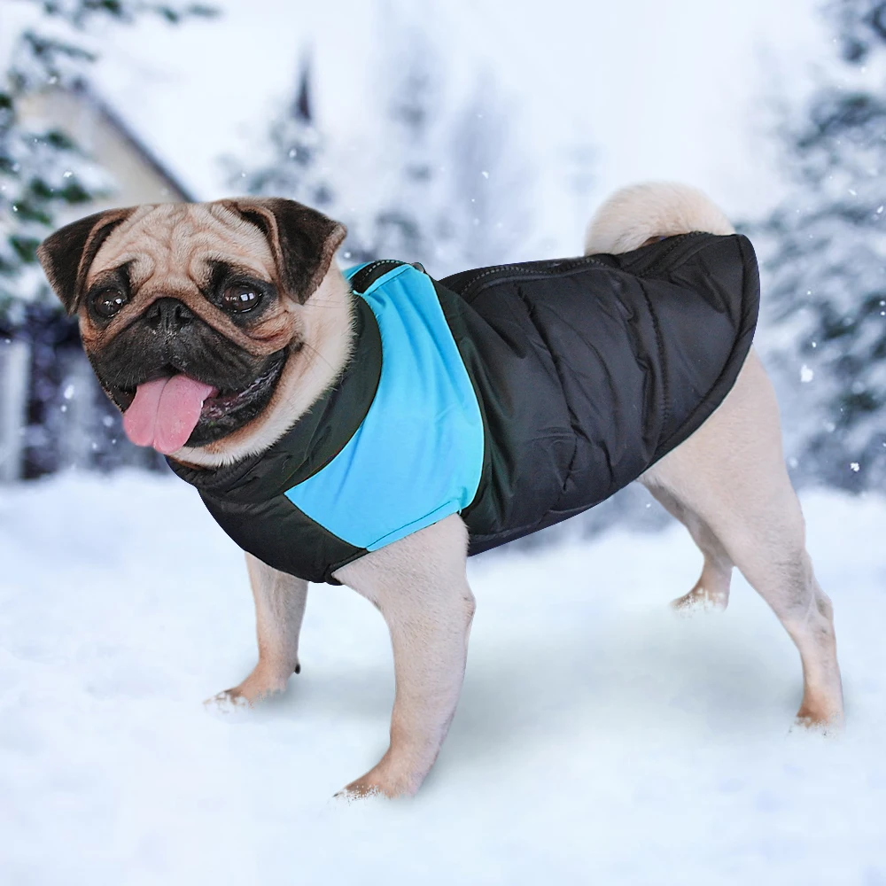 Ropa de invierno para perro, abrigo impermeable, chaleco cálido para mascotas, chaqueta para Chihuahua, Bulldog Francés, ropa para perros pequeños