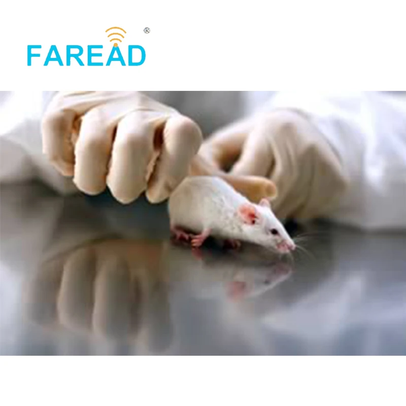 X20pcs 1.4x8 مللي متر الطبيب البيطري رقاقة حقنة + x1pc 134.2 كيلو هرتز FDX-B الحيوانات الأليفة معرف الماسح الضوئي المحمولة USB تتفاعل الأذن العلامة قارئ تتفاعل الحيوان