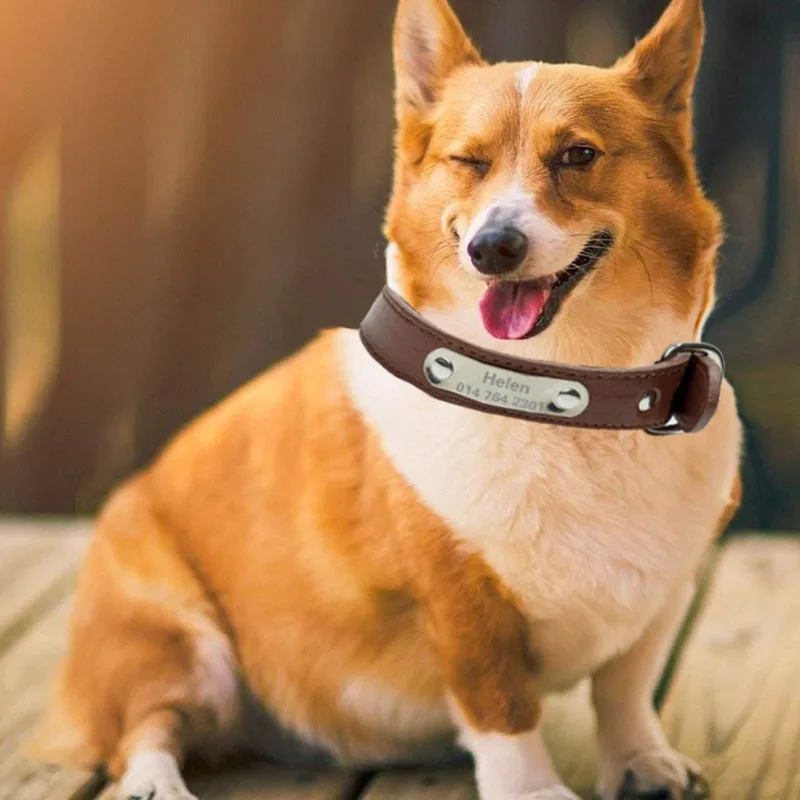 Creative Customized Leather Dog Collar Durable Padded Personalized Pet ID Collars PU Carving Puppy Cat Leash Nameplate Engraved