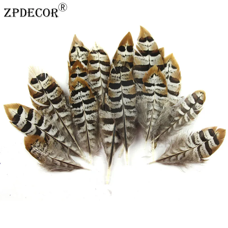 

ZPDECOR 4-6 Inch 10-15cm Natural Reeves Venery Pheasant Feathers