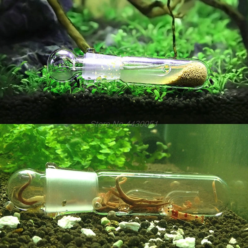 Snail Vivarium Trap Glass Catch Pen Fish Shrimp Worm Bait Feeding Box Aquarium Cleaner Dropshipping