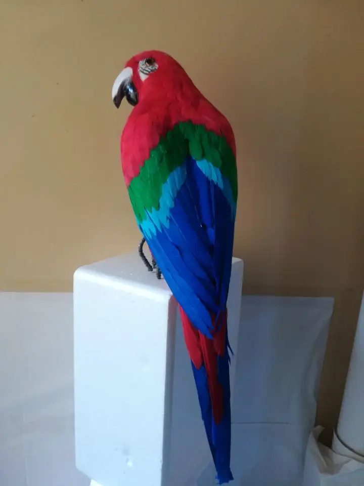 

about large 60cm red-blue feathers parrot,Handmade model,colorful feathers parrot stage prop,home garden decoration toy w0758