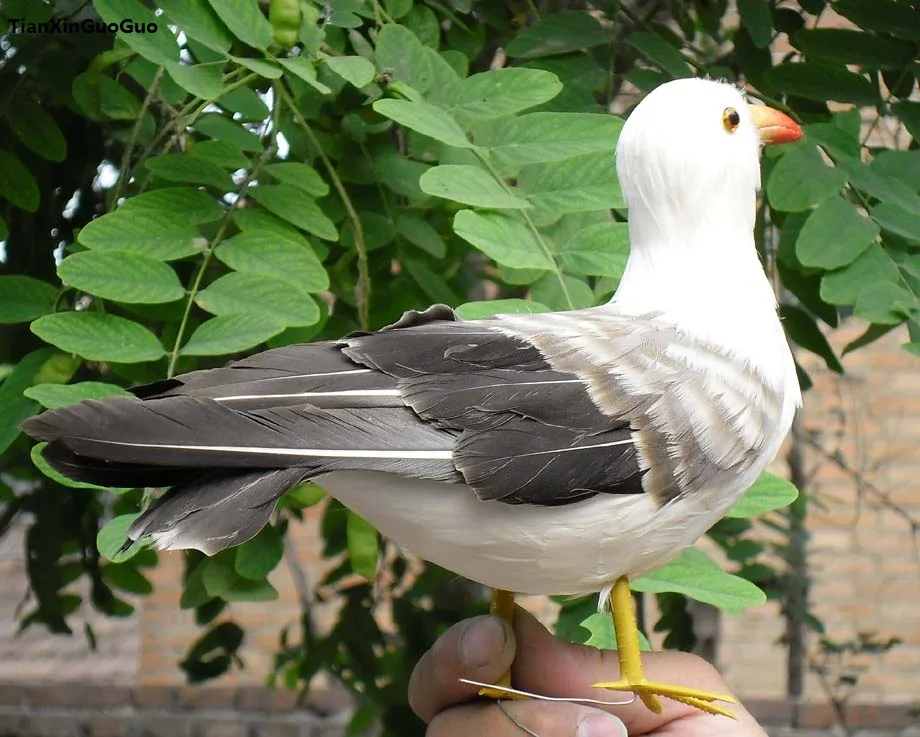 about 25cm simulation seagull bird model polyethylene&feathers bird handicraft,garden decoration s1129