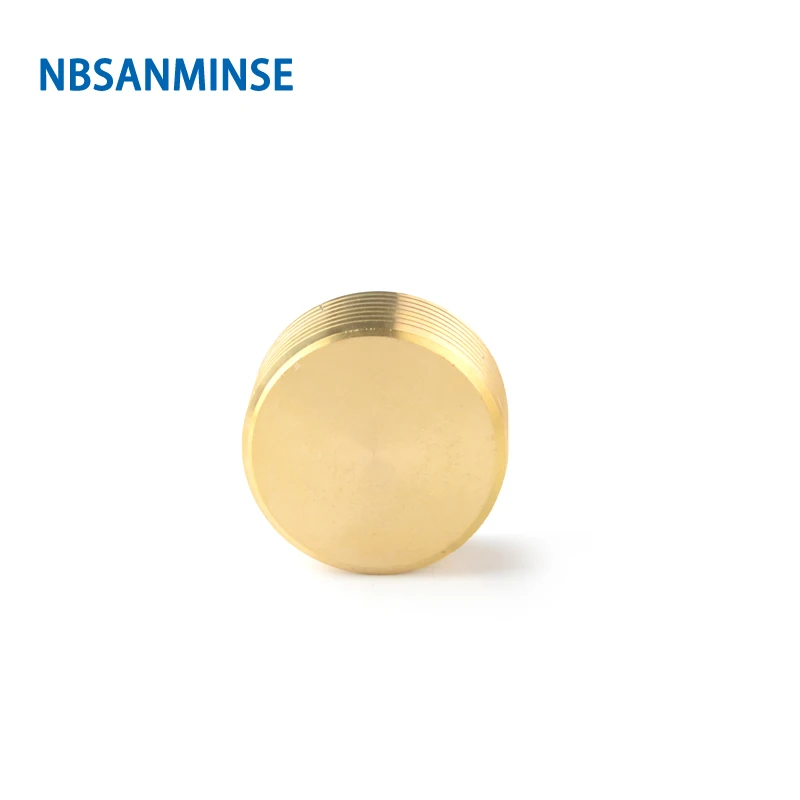 10pcs/lot SM2068 1/2 Hexagonal Socket Cap For Water Heating Copper Brass plug Fitting NBSANMINSE